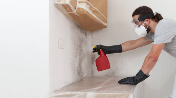 Professional Bathroom Mold Removal technician working in Elkton, KY